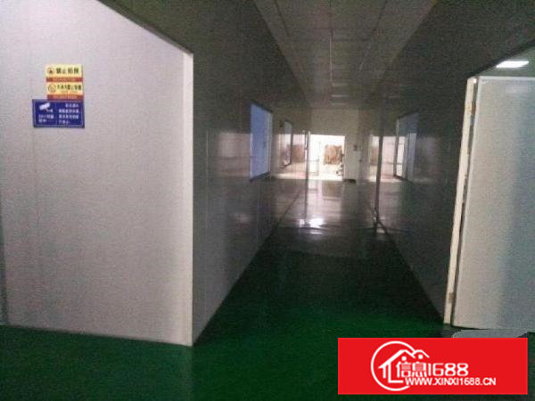 横沥镇隔坑附近标准一楼1000平方