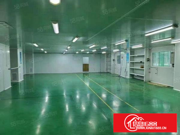 塘厦环深高速附近现成无尘车间出租2256平好招工