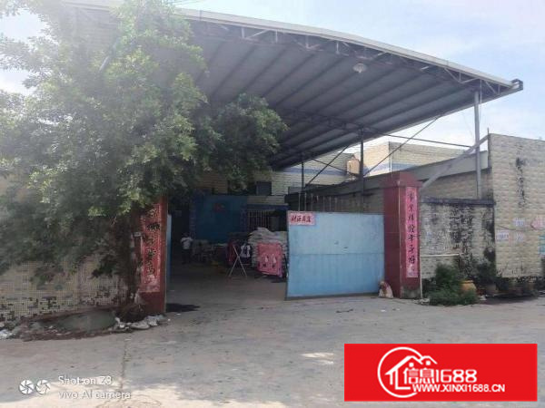 惠阳新圩一手房东独院钢构厂房1200平方，可做小污染