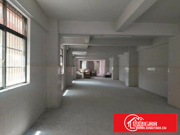 东莞市塘厦镇南屏邨28号全新厂房450平米