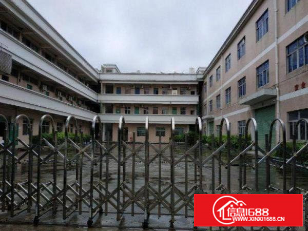 田心原房东厂房4楼一整层450平方带装修出租