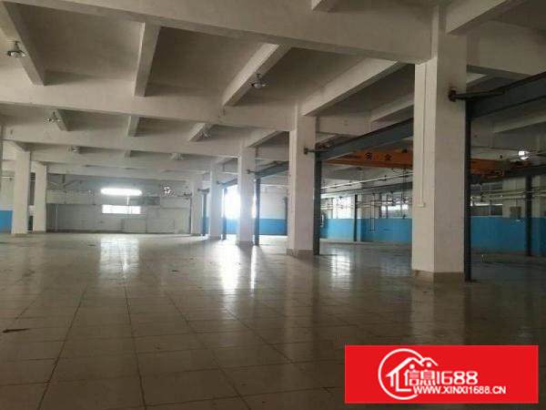 大路边、形象好，顺德大良独院5000方厂房出租