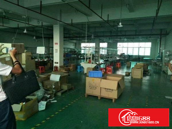 塘厦莲湖标准一楼1400平出租空地大可整租，分租