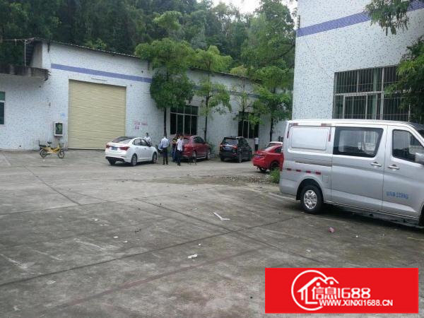 龙岗同乐钢构700平方厂房出租！可分租