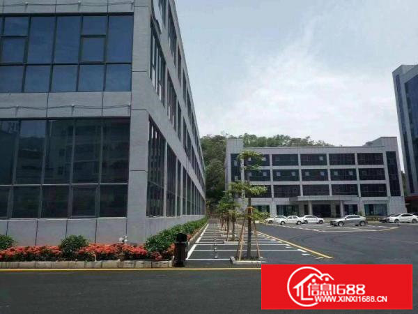 横岗地铁站口500米创意园256，450平分租电商办公