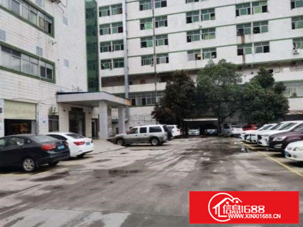 龙岗独院标准厂房楼上750平分租精装修办公室