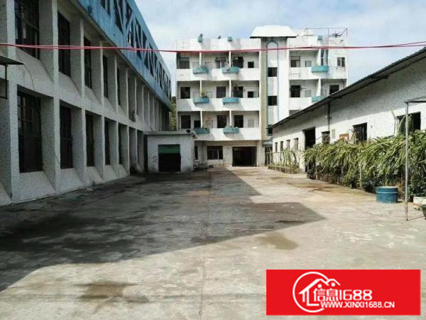 平湖良安田新出1楼1800平方厂房出租