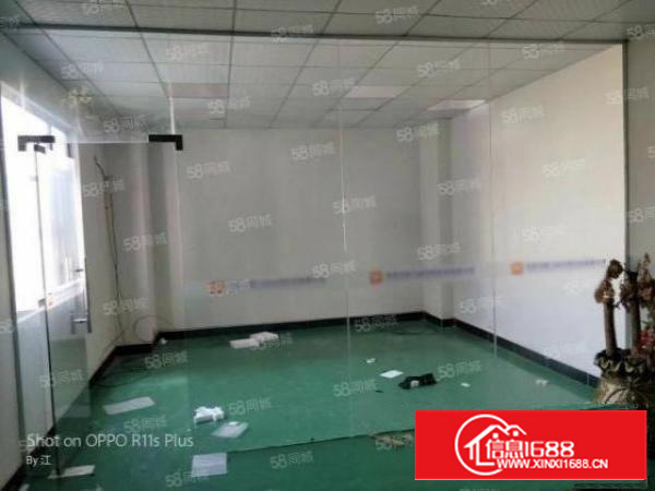 石龙蒲溪村精装修260平厂房出租