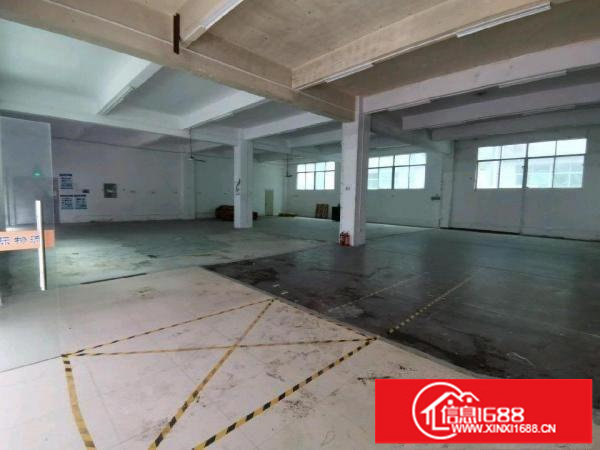 坂田一楼厂房仓库出租200-2000平吉华路布龙路环城路