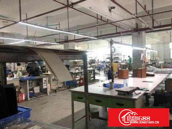 塘厦石鼓新出厂房一楼750平消防喷淋现成办公室适合小五金塑胶