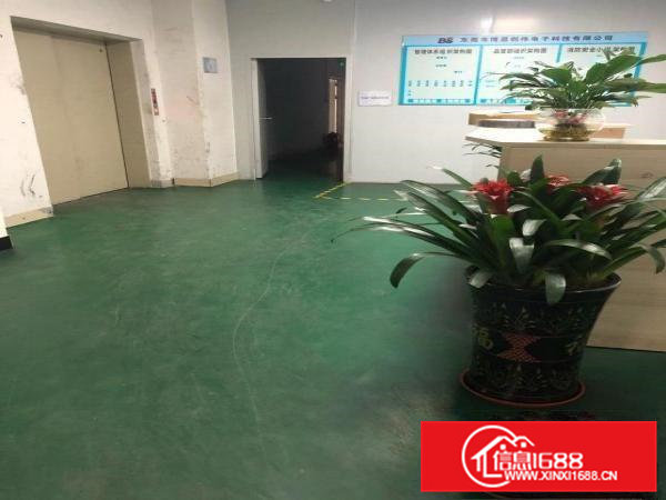 带装修厂房出租有意电联