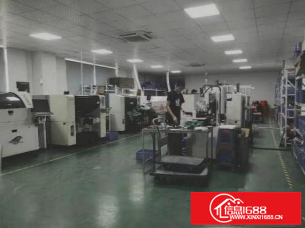 万利路一楼厂房460平招租，户型方正