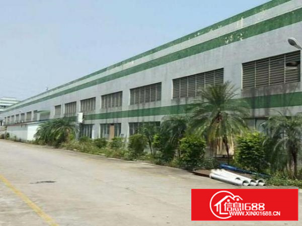 高埗低涌靓盘4500平方钢构单一层厂房招租