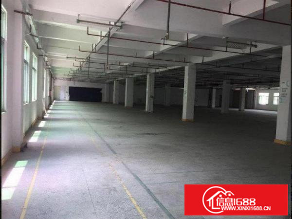 常平漱旧新出原房东一楼2000平方厂房出租