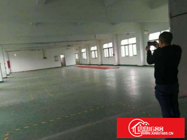 大浪南路新出一楼420平带装修适合机械仓库等