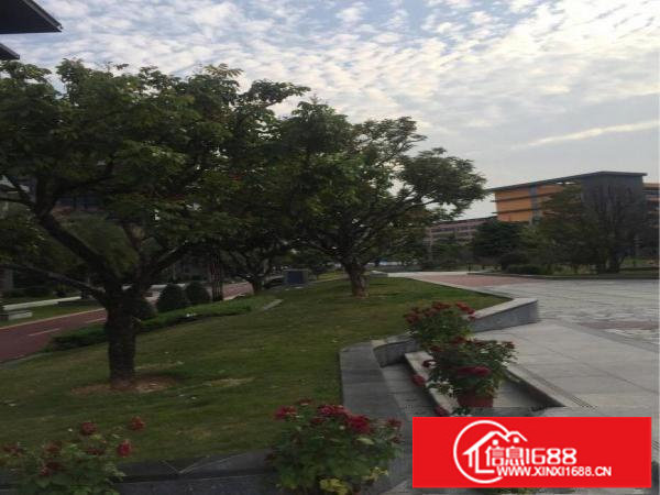 观澜高薪产业园区楼上带豪华装修400写字楼招租