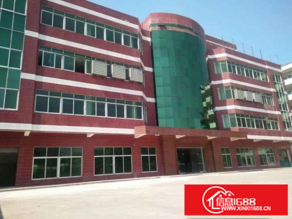 靓盘东部快线旁带红本独门独院标准厂房8000出租