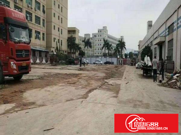 原房东带红本全新厂房可整租分租