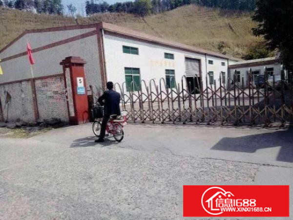 出租龙岗区龙东独院钢构厂房1200平方米