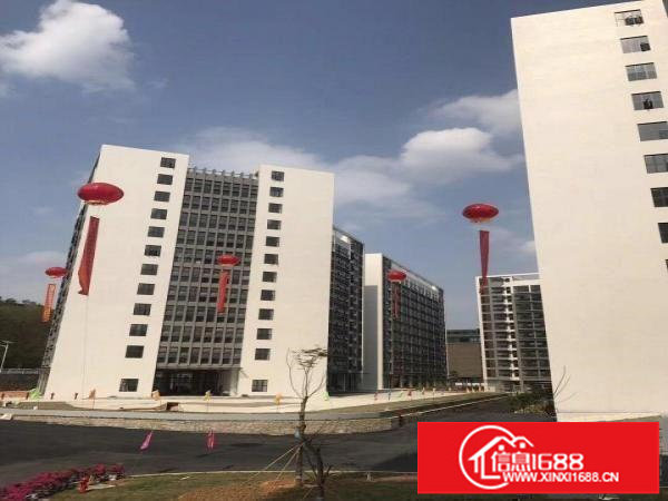 出租龙岗区坪地?国际低碳城红本厂房高新产业园招租