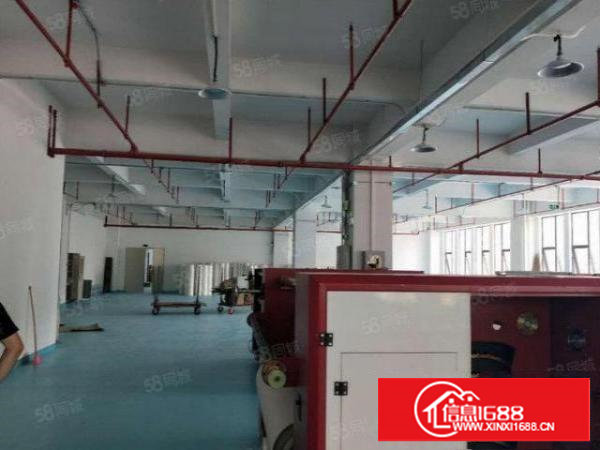 塘厦四村独院标准3楼1280平方！电子车间！干净整洁装修