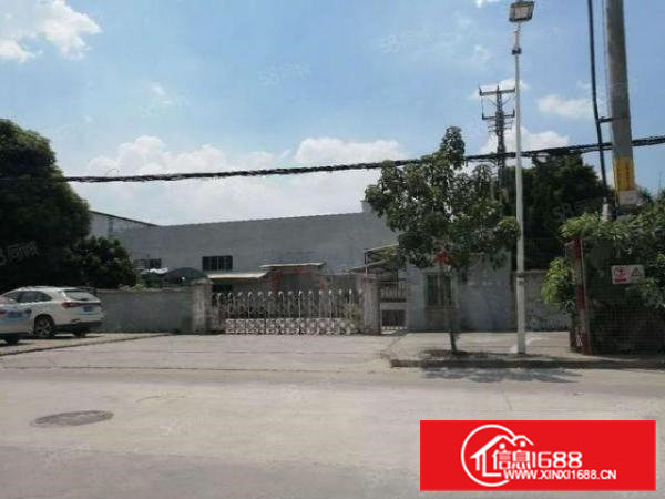 桥头新建单一层钢构铁皮原房东厂房！工业用地滴水8米1000平