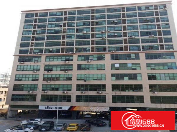 坂田大路边楼上268平双面采光