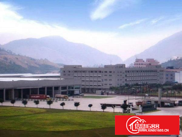 标准独栋钢构厂房出租