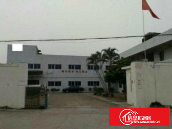 万江单一层钢构厂房2500平方出租带消防喷淋滴水位达7米高