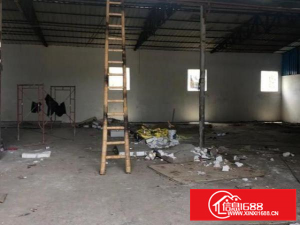 1楼铁皮厂房（房东直租）