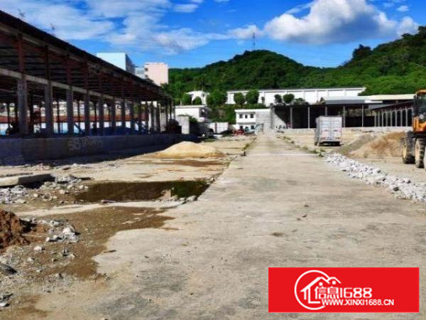 丙二内单一层钢构1.2万平厂房！可做物流仓库！超大空地！