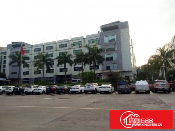 观澜福民龙澜大道边一楼1500平厂房出租