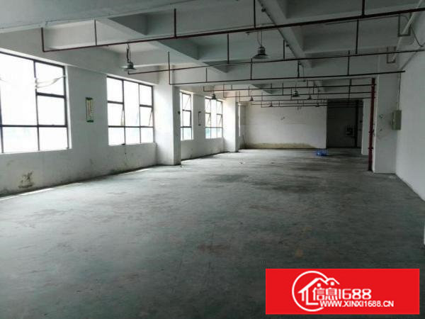 坂田上雪科技园2万平方仓库厂房出租200起分租求租带红本