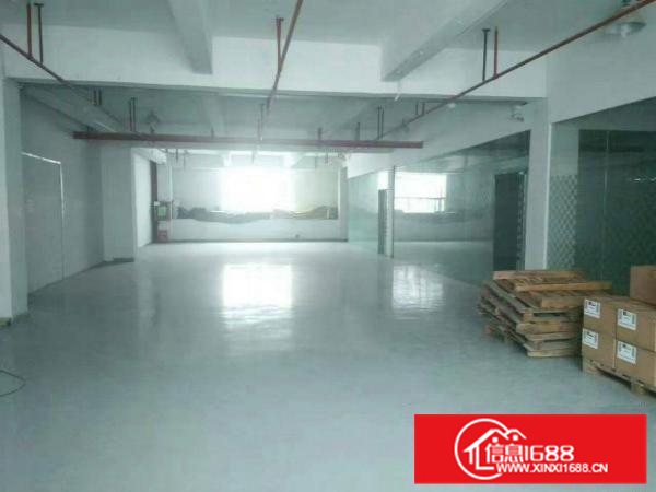 新圩国道边现成装修厂房900平米