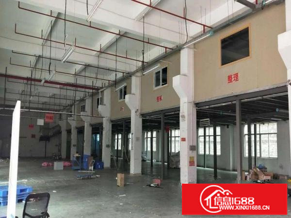 龙华清湖花半丽附近新出一楼1500平标准厂房出租