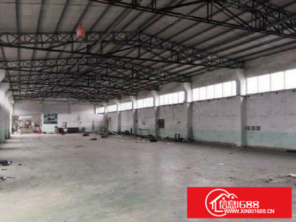 大岭山镇杨屋村单一层钢构厂房出租1000平滴水7米可分租