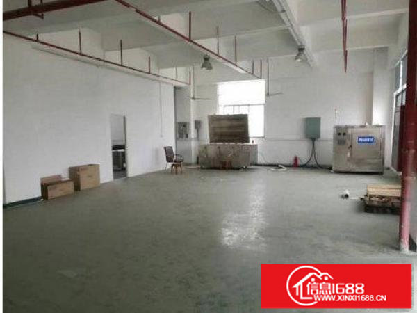 龙岗区浪背楼上600平米豪华装修电子贸易厂房出租