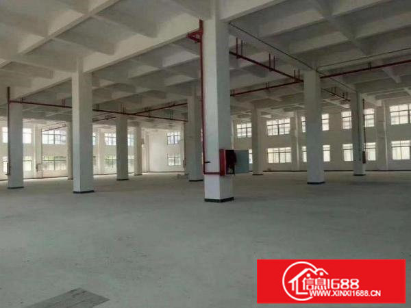 龙岗独栋两层厂房四千方1000平起分租一楼高6.5米
