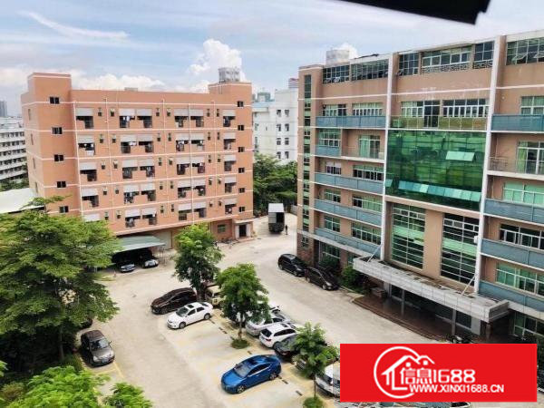 坪山碧岭原房东红本厂房出租1200平方一层无公摊面积