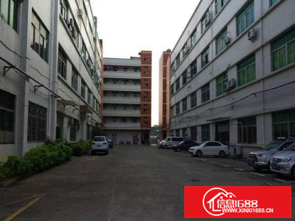 宝龙高新园区业主直租龙岗中心城新出8000平方独院