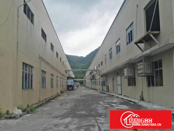 惠州花园式带红本花园式钢构厂房10万平米出租