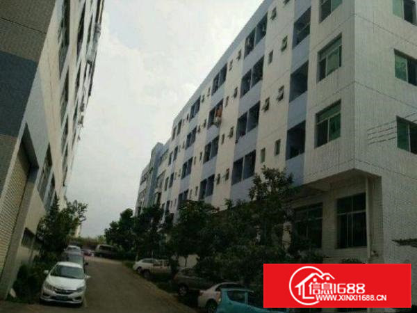 常平新汽车站楼上1400平方米厂房(现成水电装修)