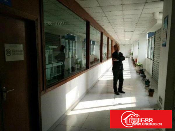 大坪,新出独院2200,超豪华大气,现房,租20元