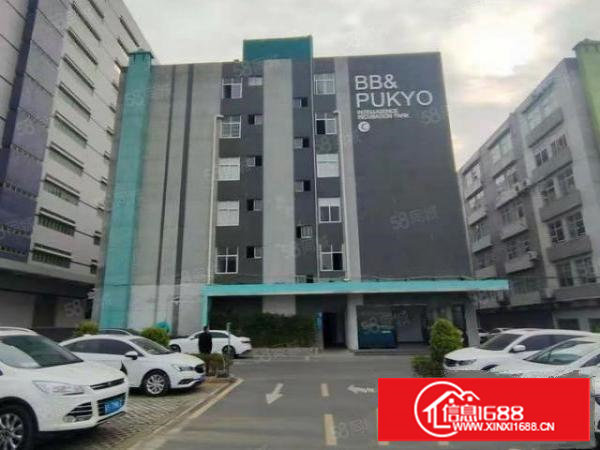 （大型园区形象好）长安镇上沙社区新出标准1楼3000平方