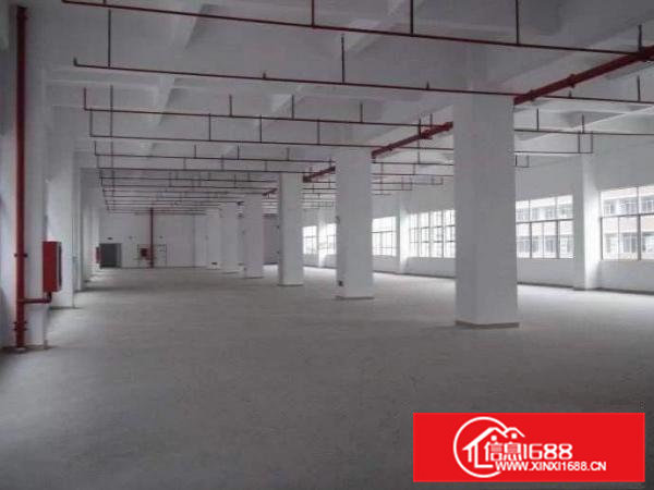 石排镇工业区新空出原房东标准4800平方厂房出租，