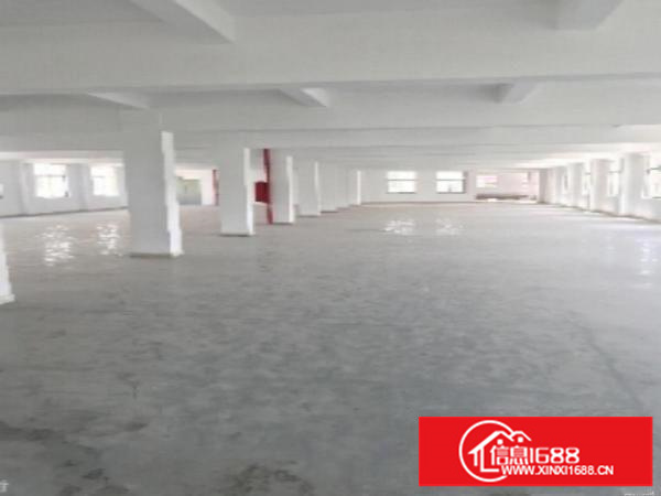 坪地中心地段、精装修600平厂房出租