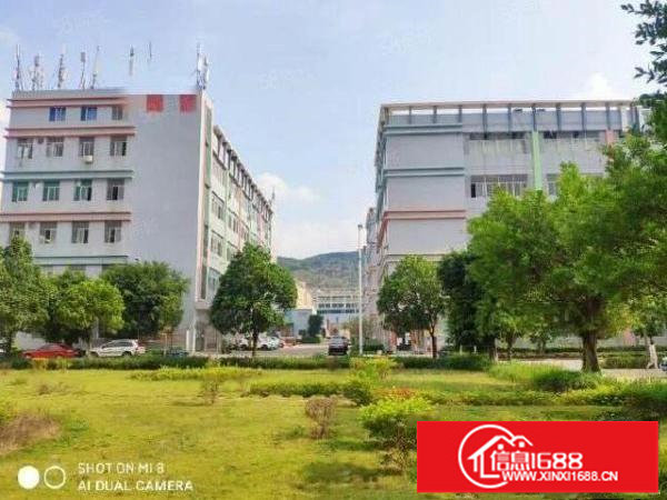 龙岗宝龙工业区原房东厂房一楼1500平出租有红本好6米可分租