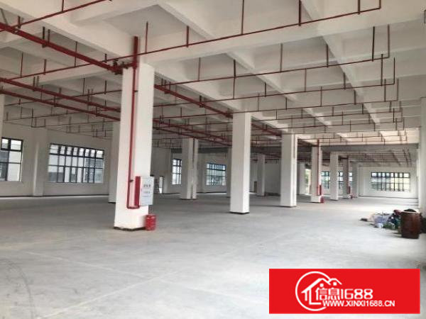 房东超急看中就放高埗镇独门独院厂房9678平