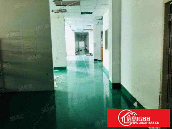 原房东！松岗独院7080平方带装修红本厂房出租空地4000平