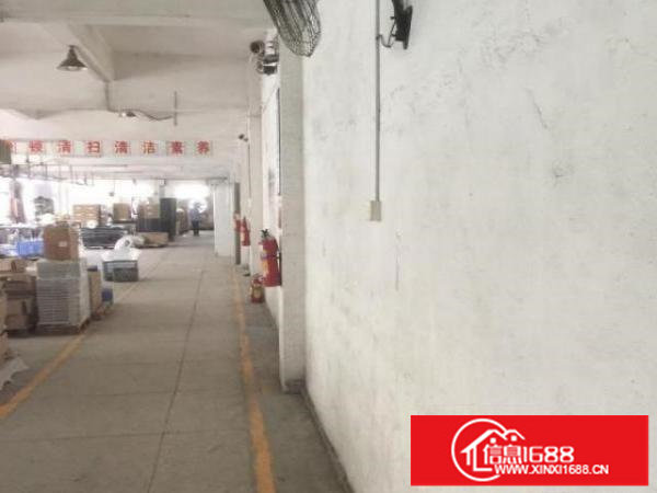 松岗燕罗街道罗田村正大安十五厂房1300平米